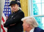 Elon Musk, Donald Trump