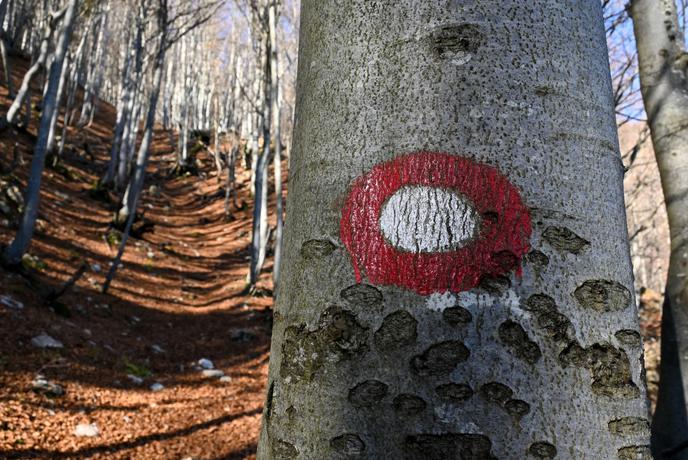 Gorski tek v Sloveniji že 55 let. Si upate v strm klanec na Črno prst?