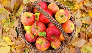 Petkov dan začnite z domačim jabolkom