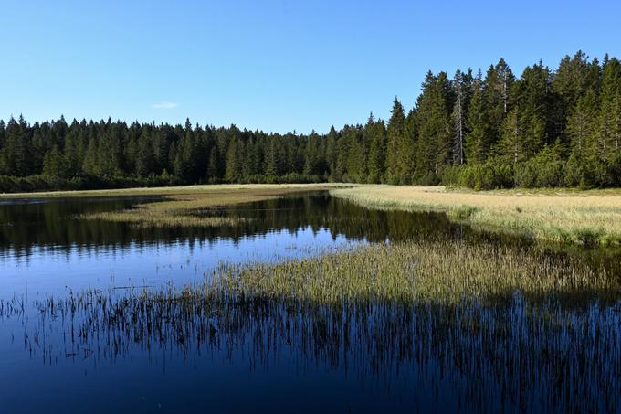 Obisk Črnega jezera je dodaten razlog, da za pohod do Šumika izberemo izhodišče na Treh kraljih ali pa Osankarici. | Foto: Matej Podgoršek