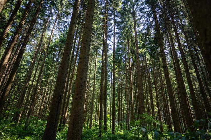 Gorski kotar | Foto: HRVAŠKA TURISTIČNA SKUPNOST
