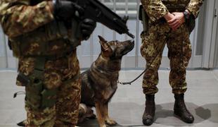 Italija pošilja vojsko na mejo s Slovenijo in Avstrijo