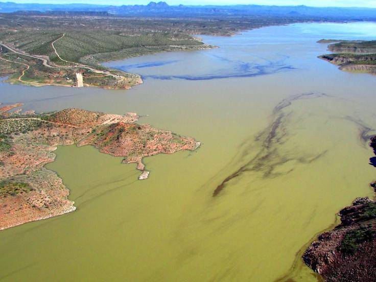 Jezero San Carlos | Foto: Urad San Carlosa za prostoživeče živali in aktivnosti na prostem