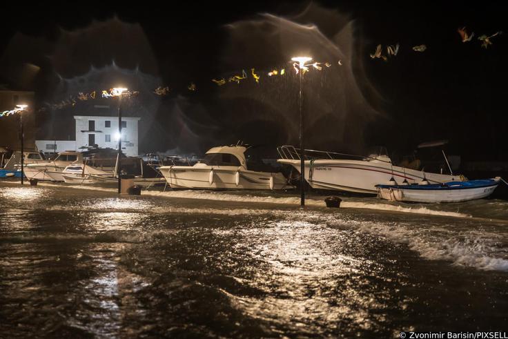 neurje, Dalmacija | Foto: 