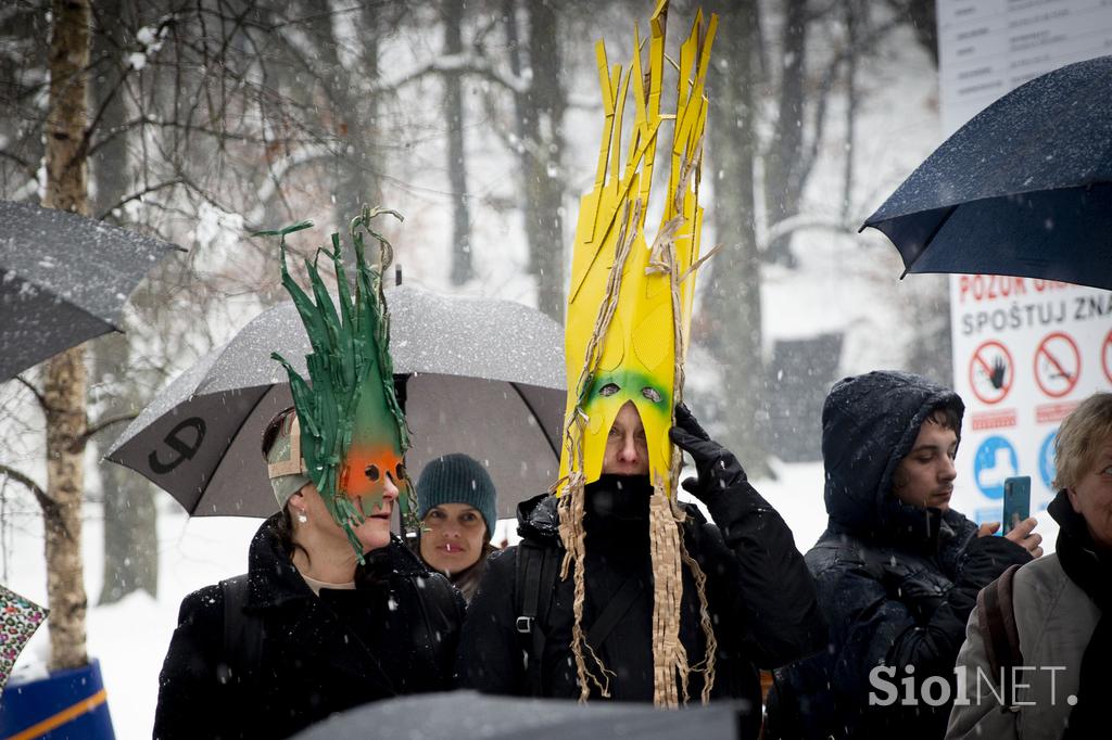 Protest proti sečnji gozda na Rožniku