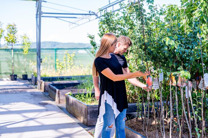 Eurogarden, Rotar in Ramda | Foto: Eurogarden, Rotar in Ramda