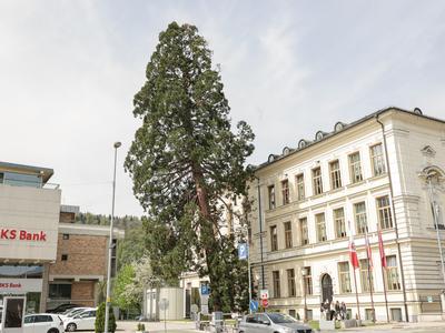 Po razlitju živega srebra v Gimnaziji Kranj zapečatili učilnico