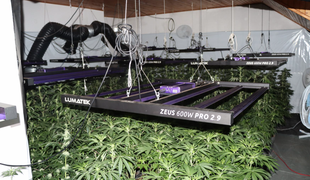 Velika hišna preiskava na območju Celja #foto