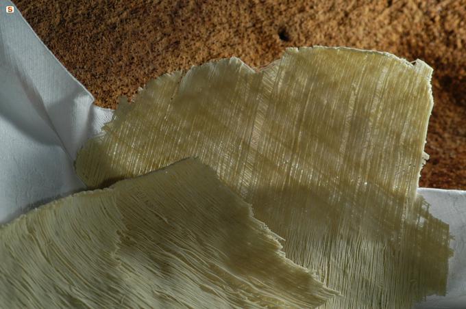 Testenine su filindeu tradicionalno  postrežejo z ovčjo obaro in nastrganim pekorinom. | Foto: Sardegna DigitalLibrary
