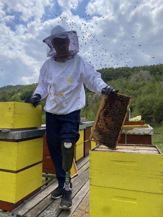 "Zavedati se moramo, da danes čebele brez pomoči čebelarjev preprosto ne morejo preživeti," je dejal predsednik Čebelarske zveze Slovenije Boštjan Noč.  | Foto: MZZ