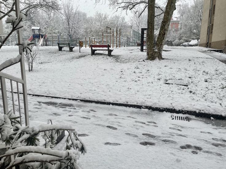 V Novem mestu sneži že od zgodnjega jutra, nam je sporočila bralka.  | Foto: bralka