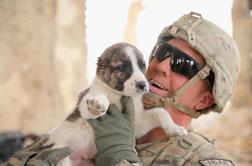 Kako čustvujejo kužki