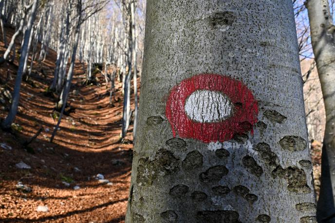 Črna prst | Foto Matej Podgoršek