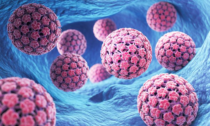 HPV | Foto: Shutterstock