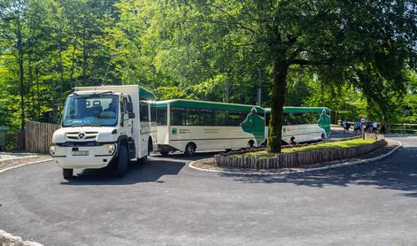 Turistični vlak zletel s ceste in trčil v drevo