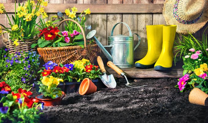 Vrtnarjenje | Foto: Getty Images