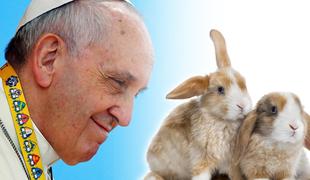 Papež katoličanom: Ni treba, da se množite kot zajci