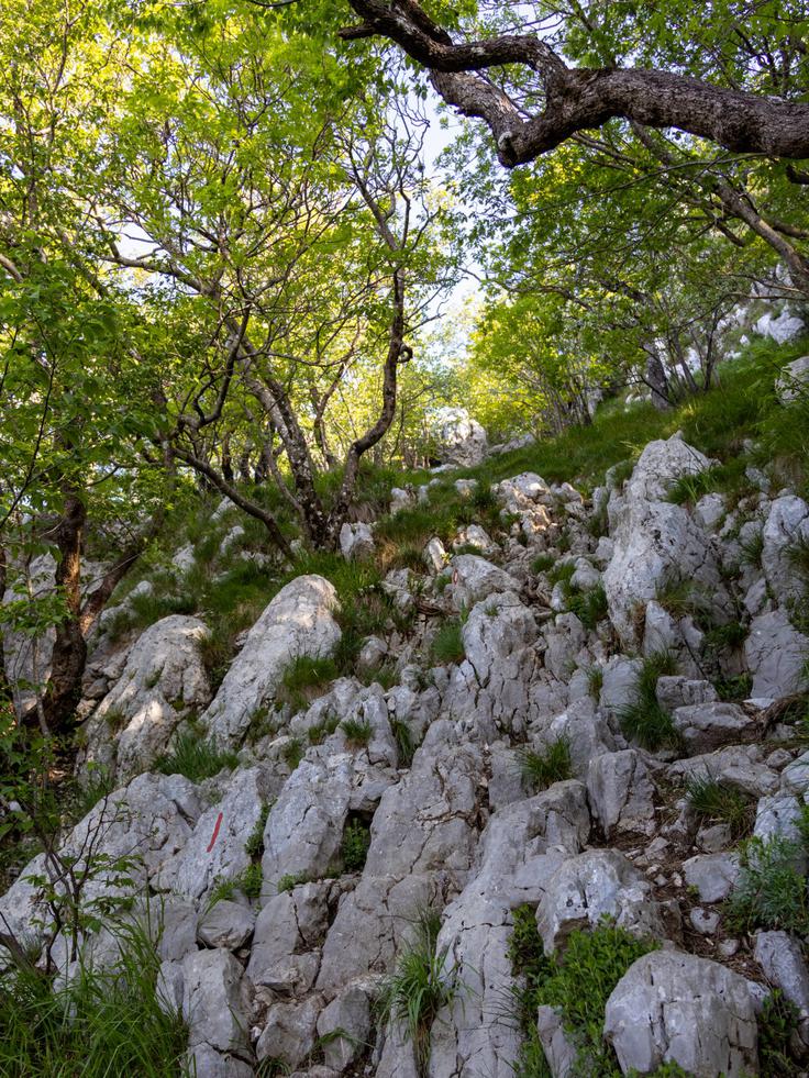 Nekajkrat si je treba pomagati z rokami ali pa prijeti za kline. | Foto: Matej Podgoršek
