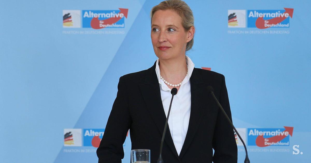 0875fed1ec37ad56e63c-alice-weidel.jpeg