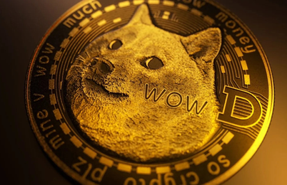 Kriptovalute 2025: kateri meme kovanci lahko prehitijo Dogecoin?