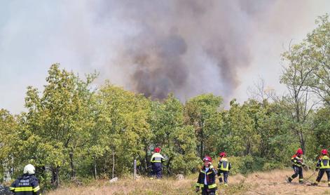 Na goriškem Krasu posadili 3.100 avtohtonih sadik