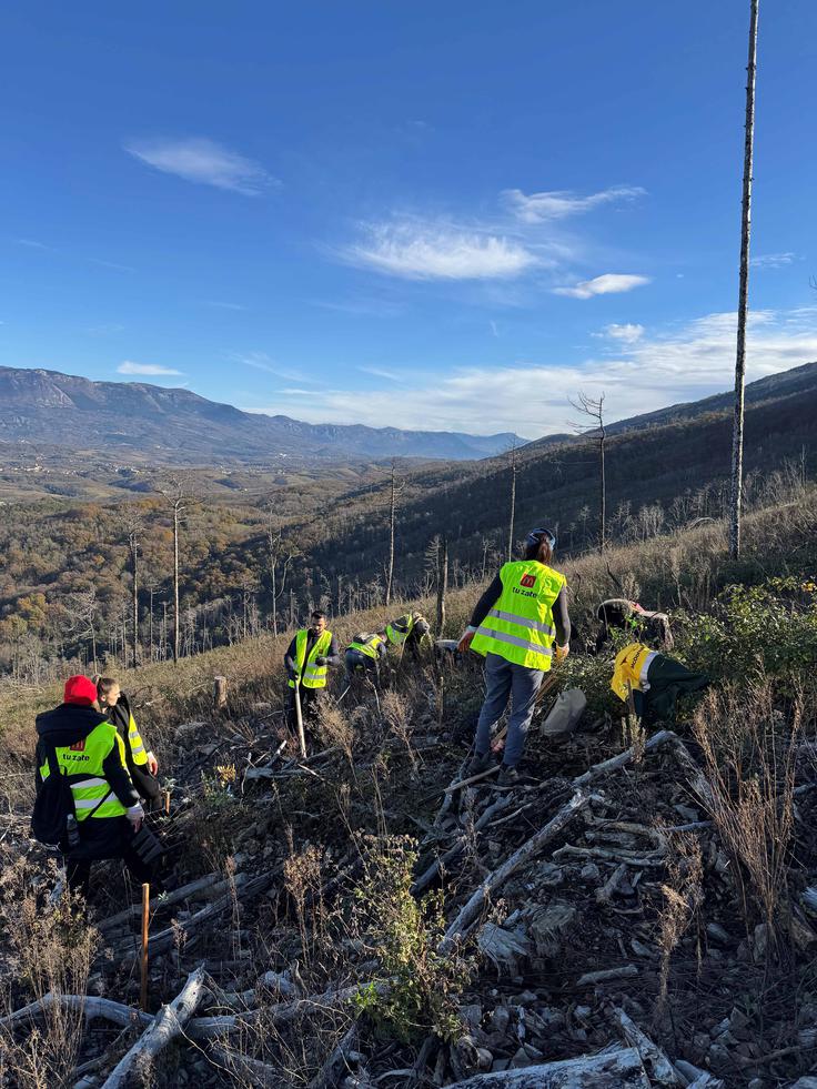 McDonalds - Obnova kraškij požarišč | Foto: Alpe-Panon d.o.o.