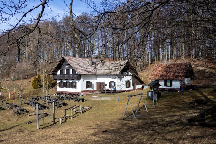 Družinski pohod, po snegu ali blatu, na Čemšeniško planino #video