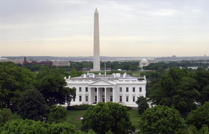 Drevo je za Belo hišo zgodovinskega pomena. | Foto: Reuters