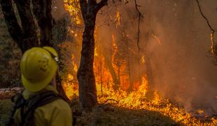 V Kaliforniji še naprej divjajo požari, na območju jezera Tahoe evakuirali več tisoč ljudi #video