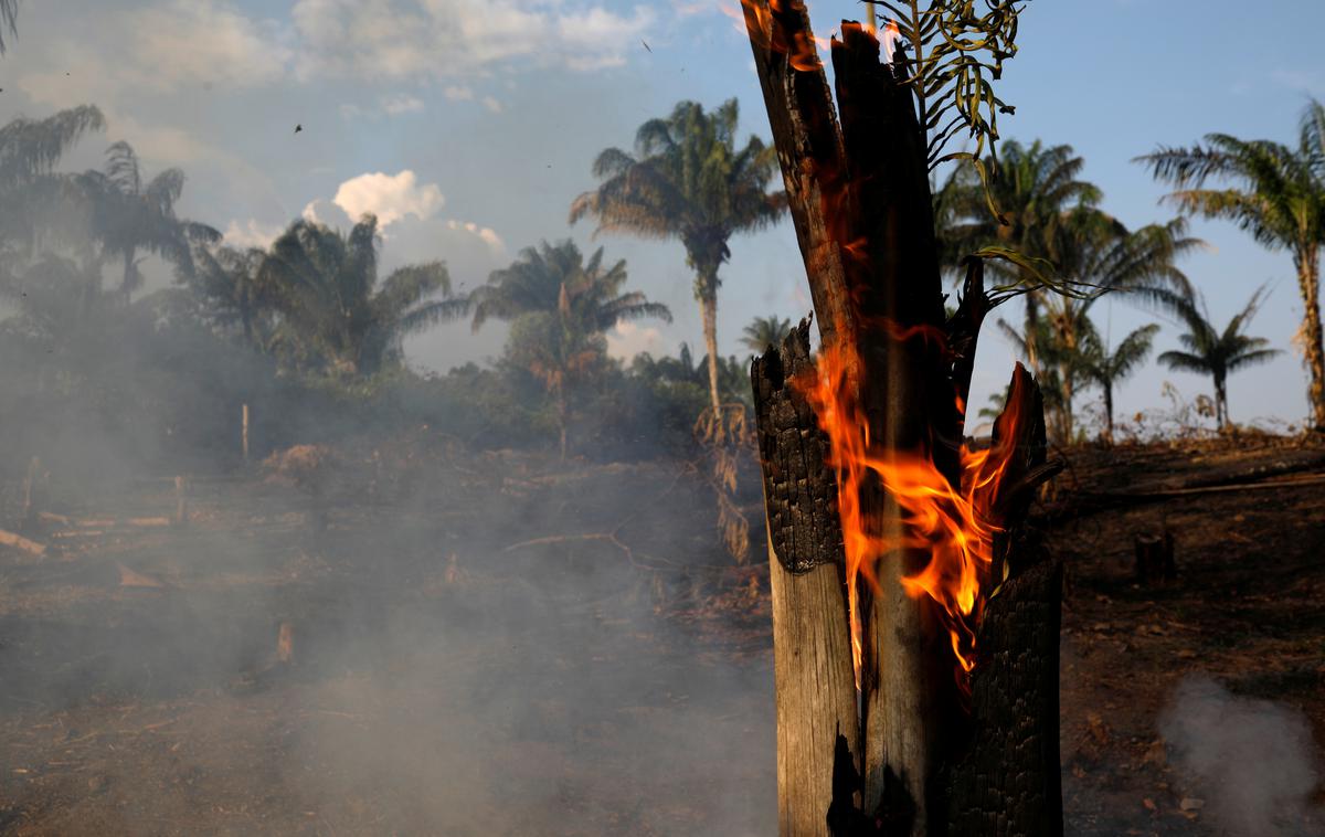 Amazonski pragozd, Amazonija, požar, gozdni požar | Brazilski predsednik Bolsonaro je v luči požarov v Amazoniji podpisal dekret, s katerim je za dva meseca prepovedal vsakršno kurjenje v naravi. | Foto Reuters