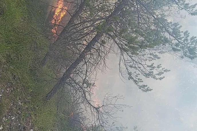 pozar | Foto Facebook/Gasilci Črna na Koroškem