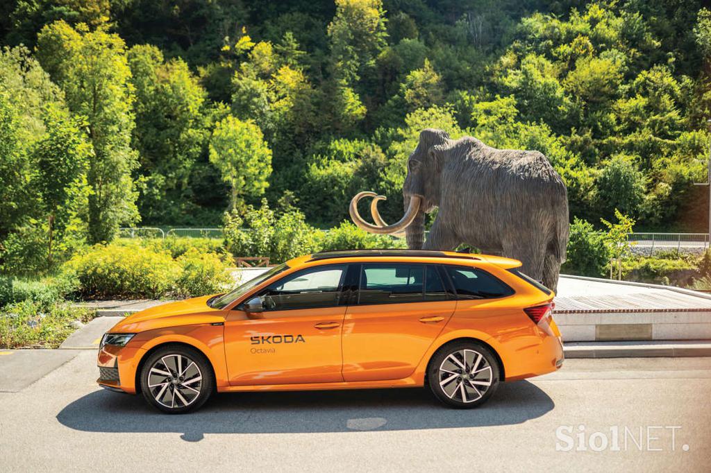 nova-skoda-octavia-porsche-inter-auto-ponudba-anniversary-edition-2025 (16)_1200