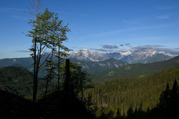 Že med Pustim Rovtom in sedlom Suha se nam dvakrat odpre pogled na Julijske Alpe s Triglavom. | Foto: Matej Podgoršek