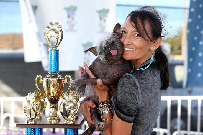 Najgrši pes na svetu | Lastnica in pes sta prejela 1.500 dolarjev denarne nagrade in potovanje v New York. | Foto Profimedia