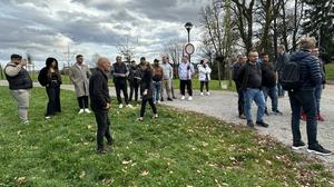 Župani: Šutarjev zakon v pravo smer. Romi: Nekateri predlogi so prestrogi.