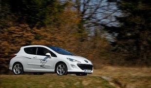 Peugeot 308 feline