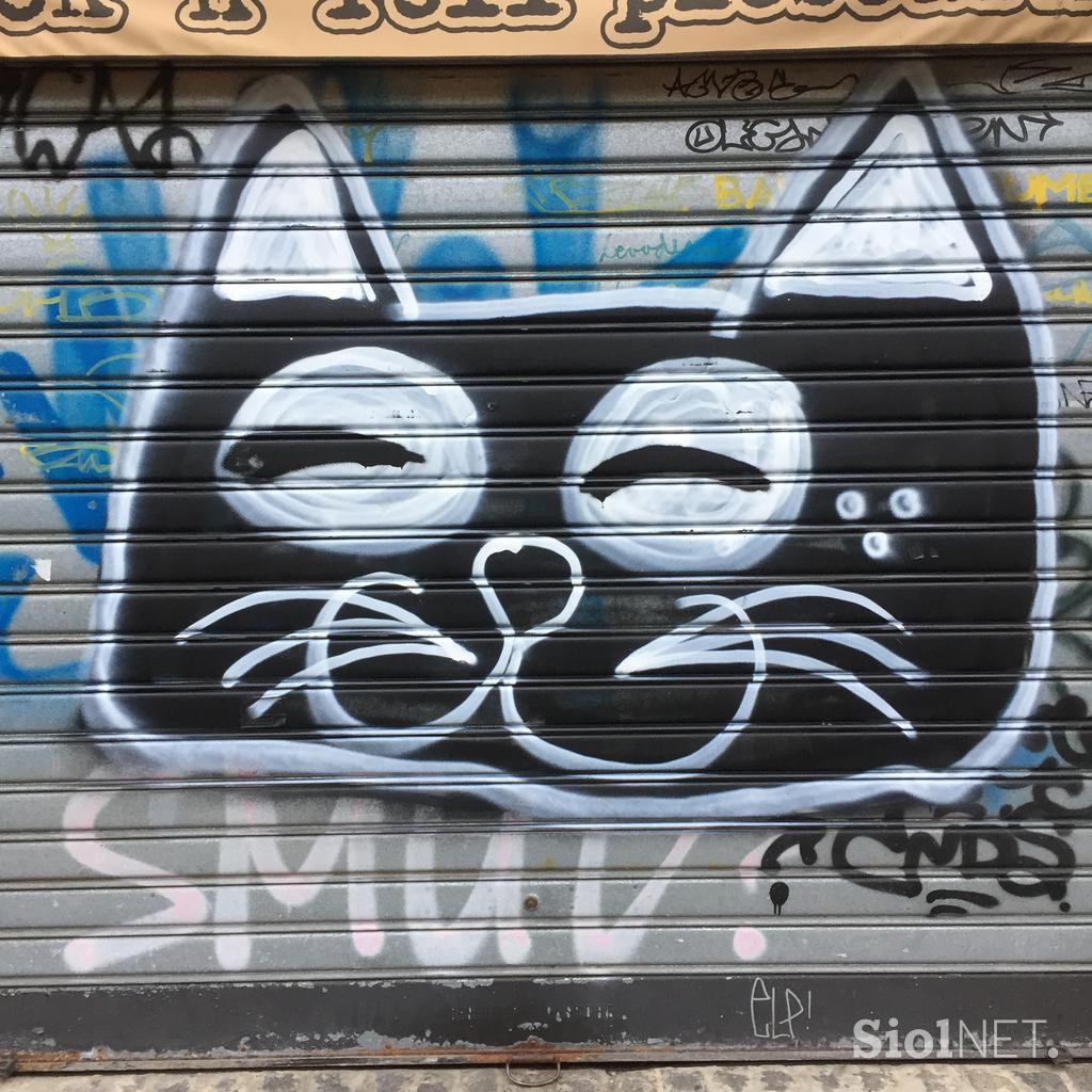 mačji grafit