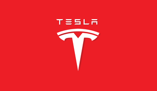 Brezplačen vodič "Kako trgovati s ceno delnic Tesla"