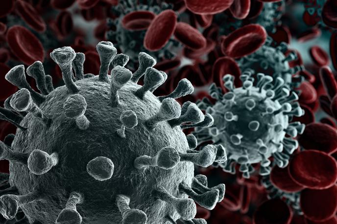 Koronavirus. Cepljenje. Test. Testiranje covid-19. Covid-19 | Število okužb je znova naraslo.  | Foto Shutterstock