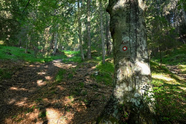 Hitro zagrizemo v klanec. | Foto: Matej Podgoršek