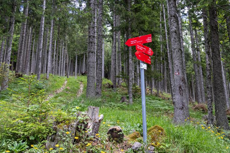 Na Hudi ravni, na približno 1.300 metrih nadmorske višine, imamo dve možnosti: desna pot gre neposredno do koče na Loki (dobre pol ure), leva pot pa prek planine Arta na vrh Raduhe (dve uri). | Foto: Matej Podgoršek