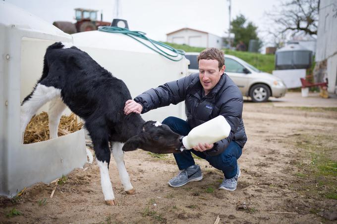 33-letni Mark Zuckerberg je s premoženjem, vrednim okrog 55 milijard evrov, po podatkih revije Forbes šesti najbogatejši človek na svetu, a številni Američani ga imajo radi, ker se kljub silnemu bogastvu ne vede prav nič bogataško. Njegov zaščitni znak so jopica, siva majica s kratkimi rokavi, kavbojke in športni copati. | Foto: Facebook