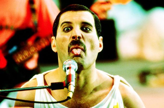 Freddie Mercury Lidl | Foto: 