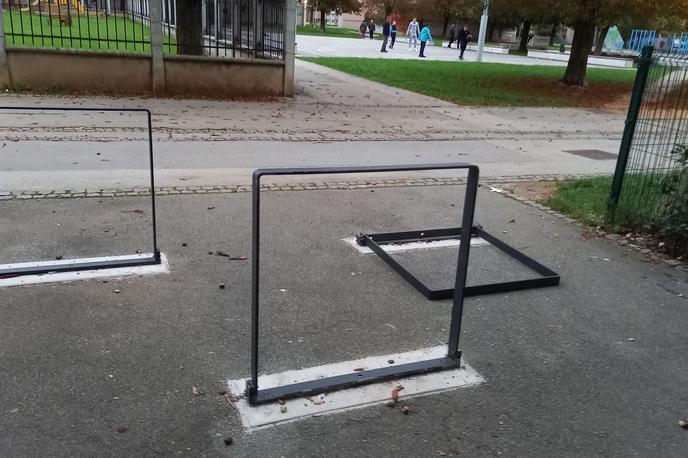 ovire v Kranju - nesreča s psom | Tehnična ovira, ki ni bila fiksirana, je padla in z ostrim robom okvirja zadela v zatilje psičke, ki je zaradi poškodb poginila. | Foto AniMa - Animals Matter/Facebook