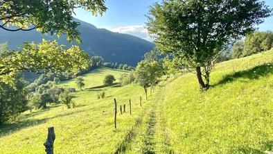 Po poti Juliana Trail, velikem hitu letošnjega poletja