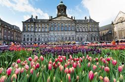 Amsterdam: barvito mesto kanalov, koles, cvetja in omame
