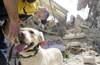 Slovenski vodniki reševalnih psov na prvenstvo v Romunijo