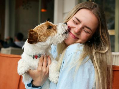 Pasji poljubi: kaj vam vaš ljubljenček sporoča z lizanjem obraza?