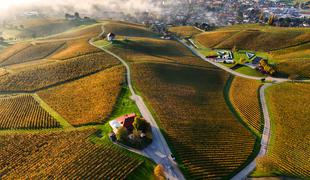 Slovenska Toskana, ki vas bo očarala: vino, razgled in popoln mir med vinogradi #nagradnaigra