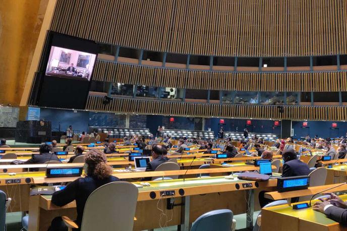 Združeni narodi | Resolucija Združenih arabskih emiratov Palestini ne zagotavlja glasovalnih pravic v Generalni skupščini, ker imajo to pravico le članice, ki redno plačujejo prispevke v proračun ZN. | Foto STA